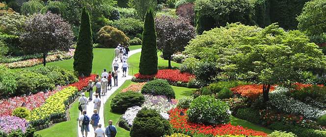 [caption: Public Gardens, Arboreta  and Land Preserves] Click to go to our Public Gardens, Arboreta  and Land Preserves page 